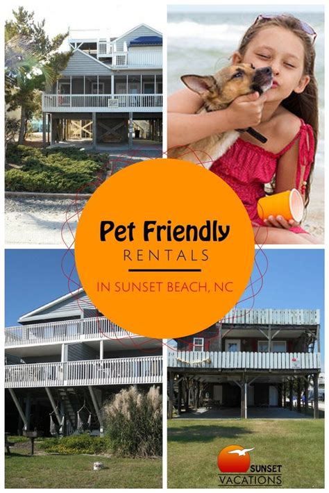 pet friendly hotels in ternate|Ternate Pet Friendly Vacation Rentals .